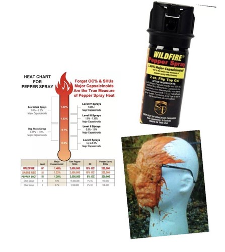 Hot wildfire professional - hot,